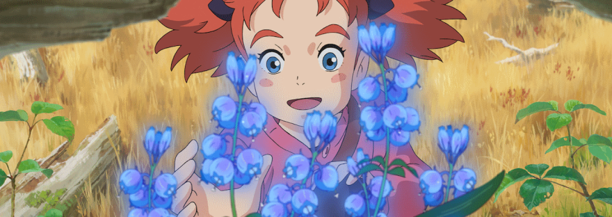 Mary and the Witch's Flower